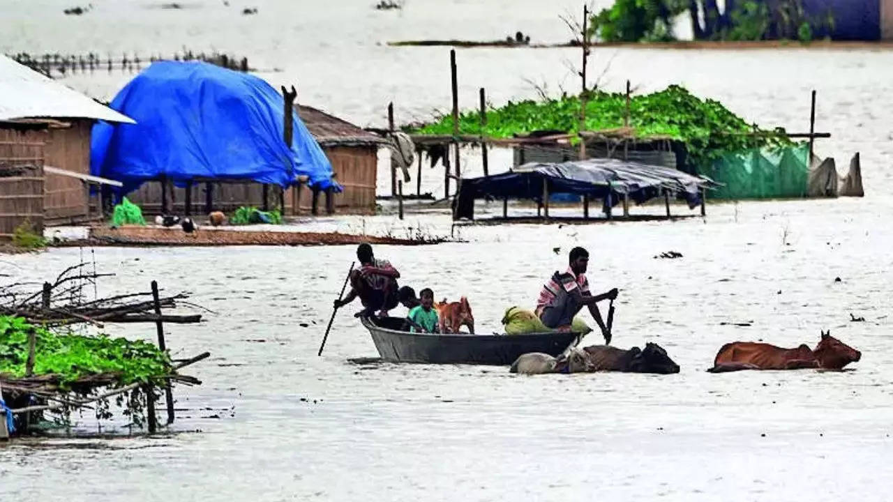 Flood situation in Assam, Arunachal Pradesh worsens; frontier areas cut off