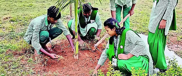 1L saplings planted by govt schools in a month: edu dept