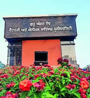 Gadvasu board to meet today for call on VC post