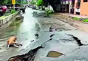 VMC slaps notices for potholes