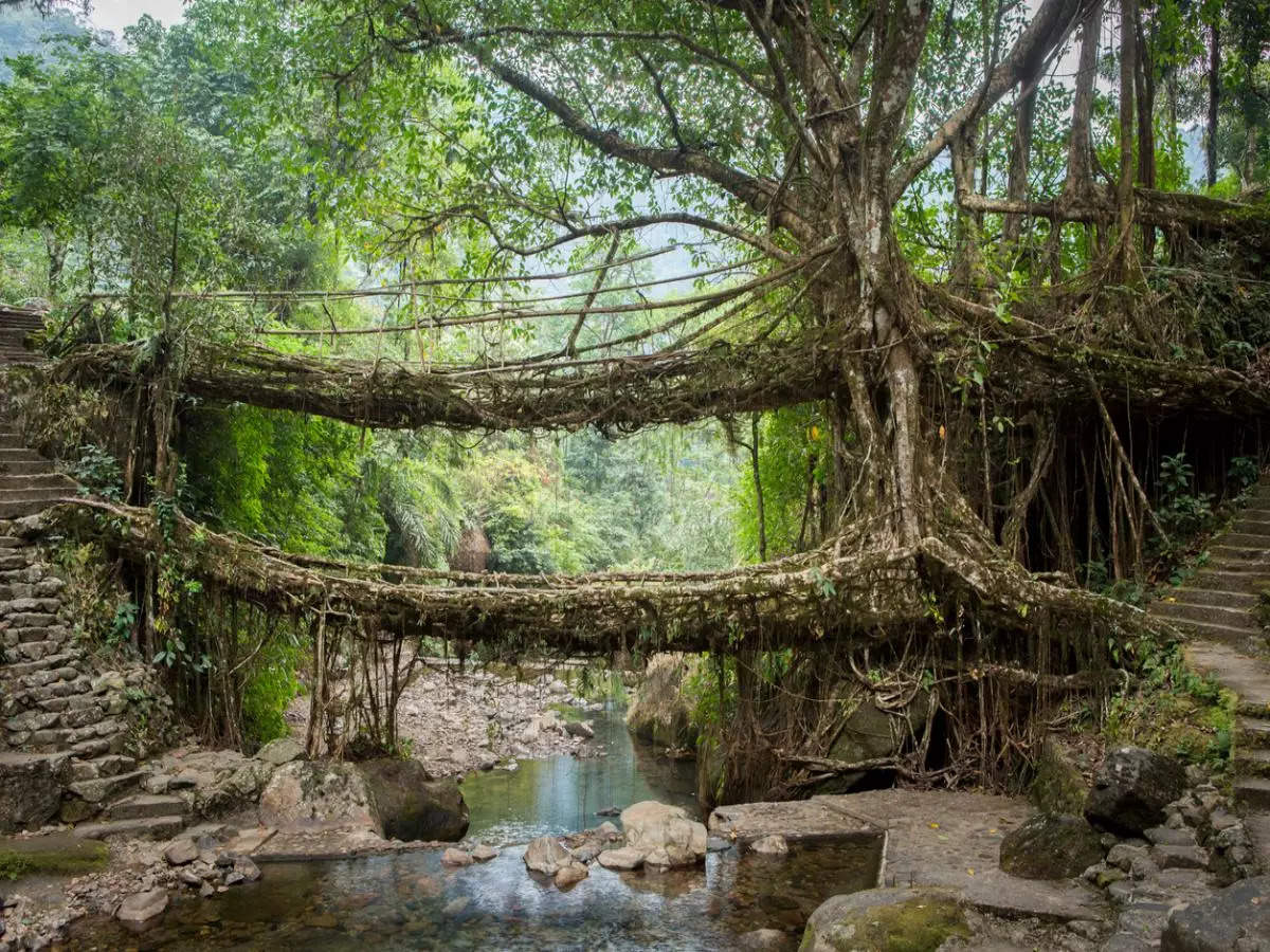 Exploring Meghalaya in July: 5 must-have experiences