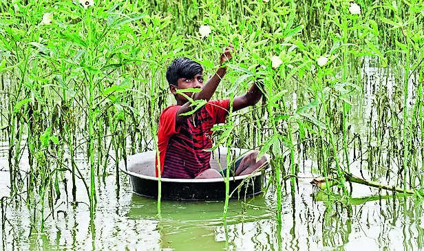 Flood situation critical, no. of affected people over 24L