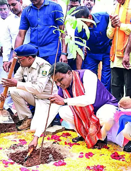 Govt to plant 5cr saplings to increase green cover: CM