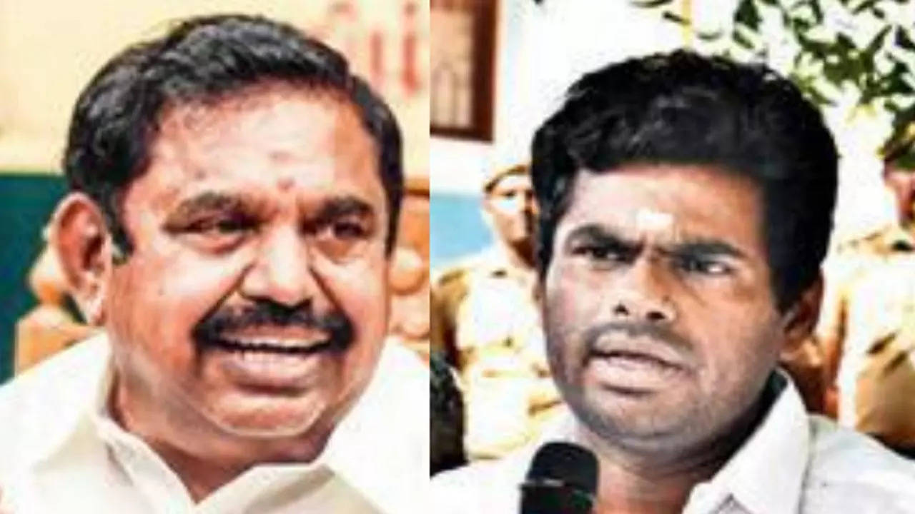 Liar, betrayer: EPS, K Annamalai call each other names ahead of Vikravandi bypoll