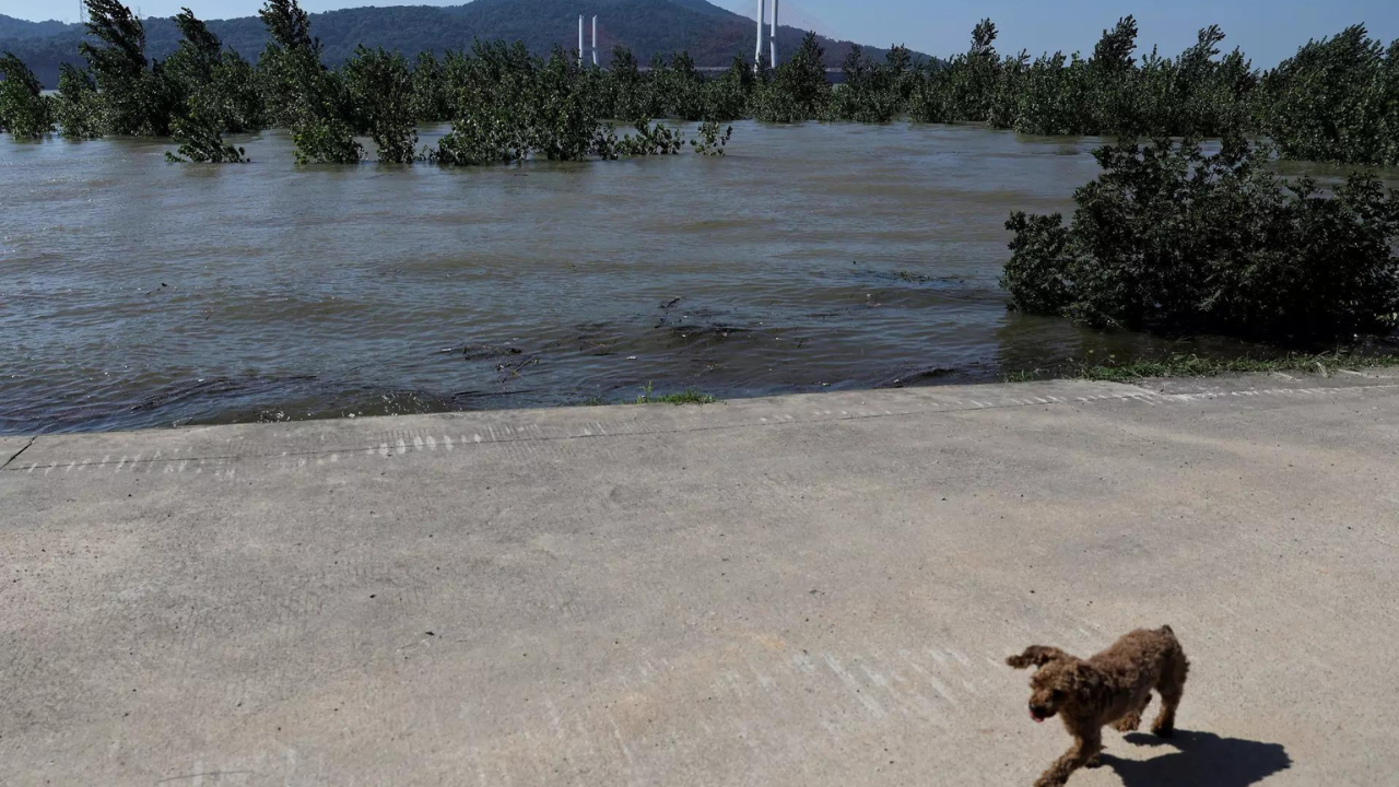 Residents relocated after dam breach at China's second-largest freshwater lake