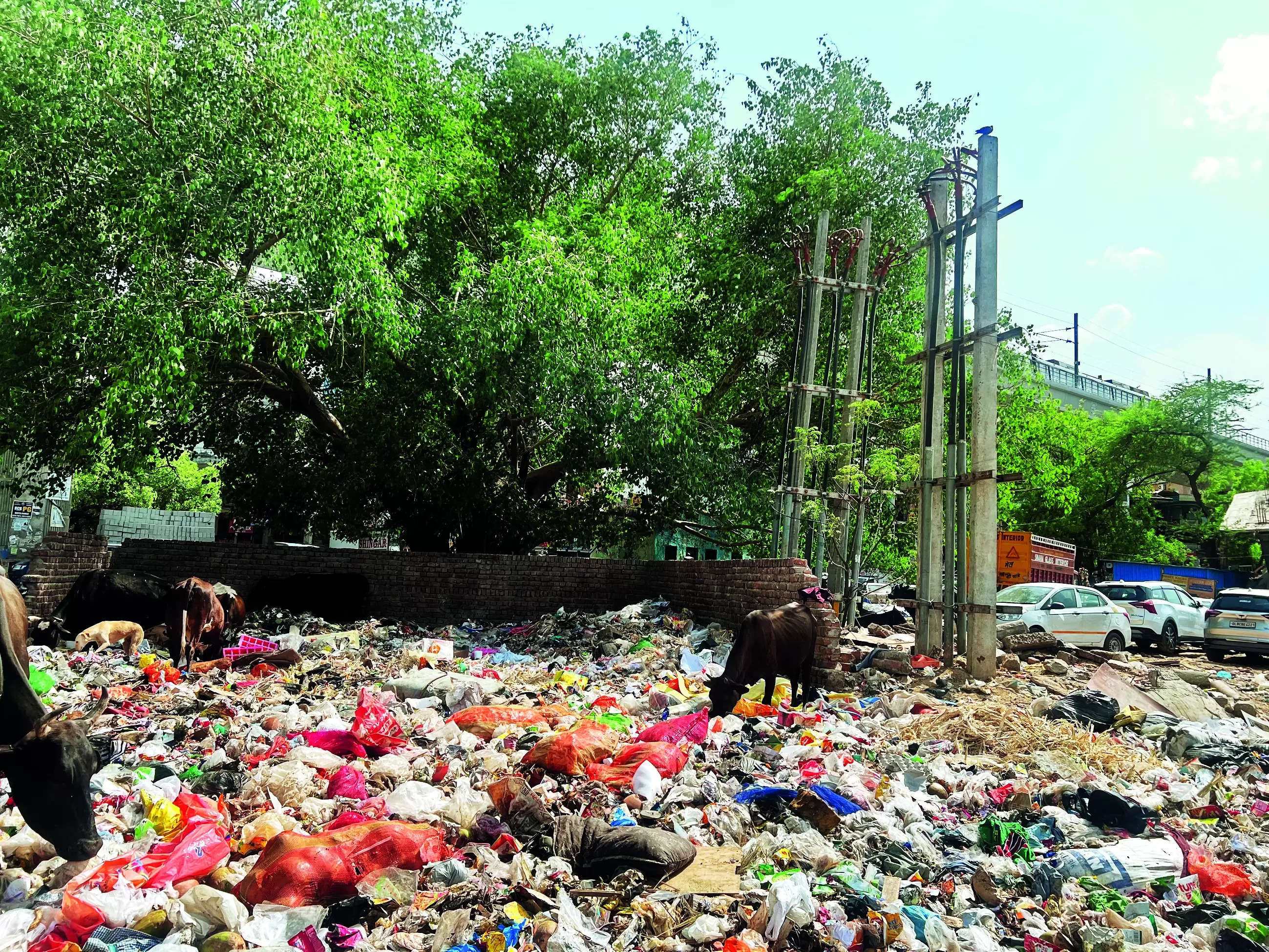 CM’s deadline for clean city over, MCG fails to lift garbage off roads