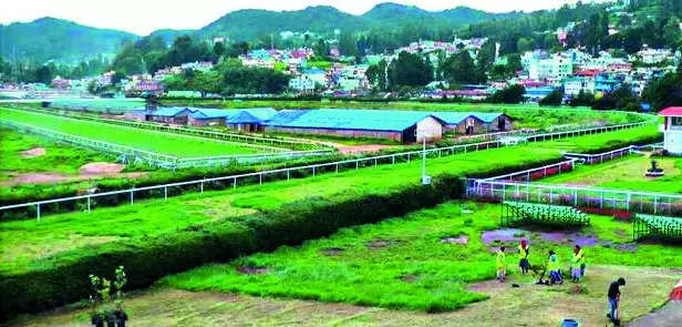 TN govt begins work to convert Ooty race course into eco-park