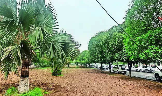 PAU to go greener with over 1,000 trees