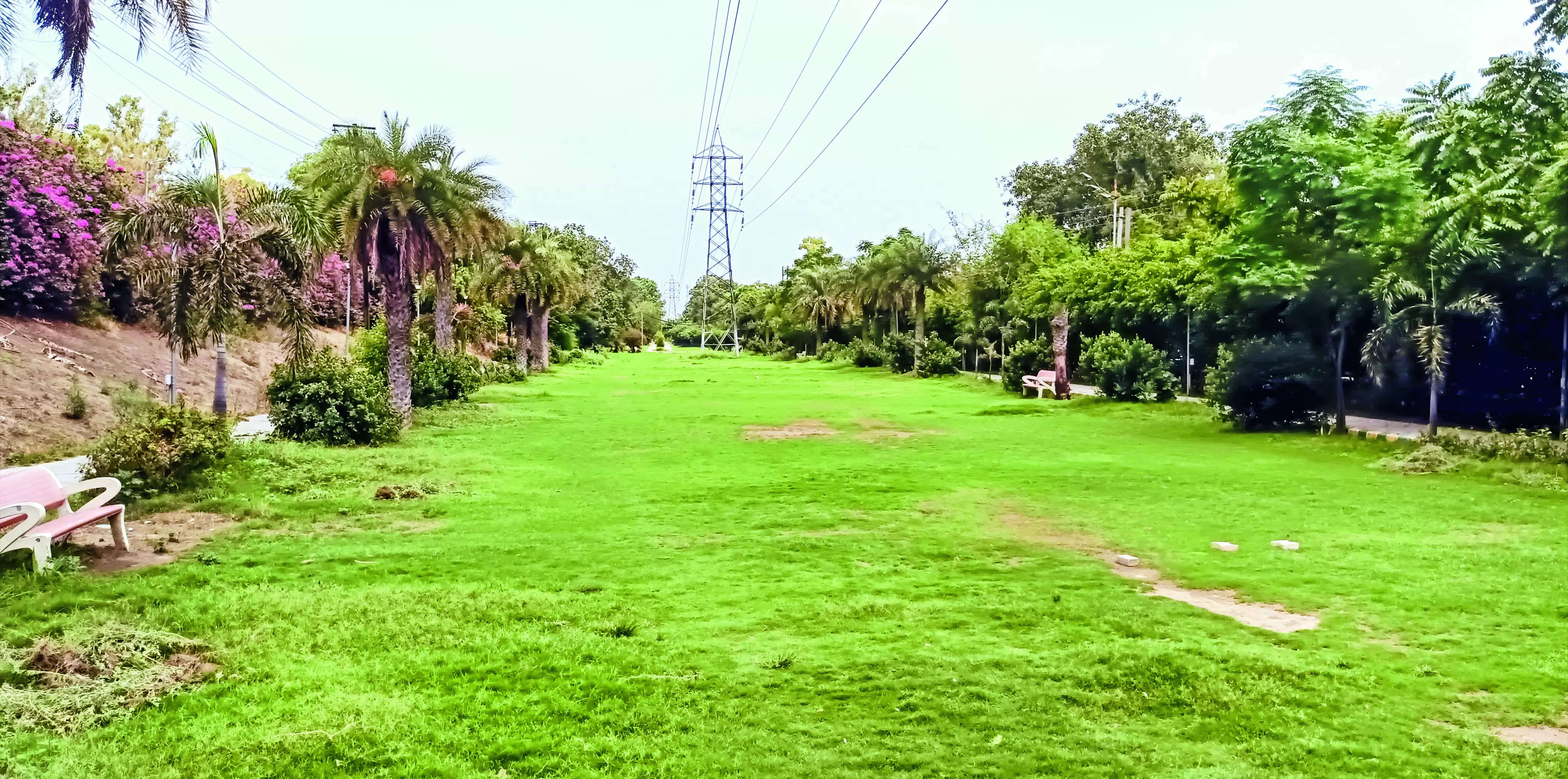 NGT hauls up Ludh MC over constructions on green belt