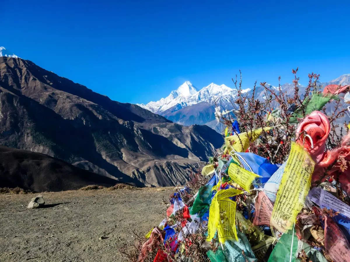 Highest camp at Mount Everest littered with frozen garbage and human remains; cleanup might take years