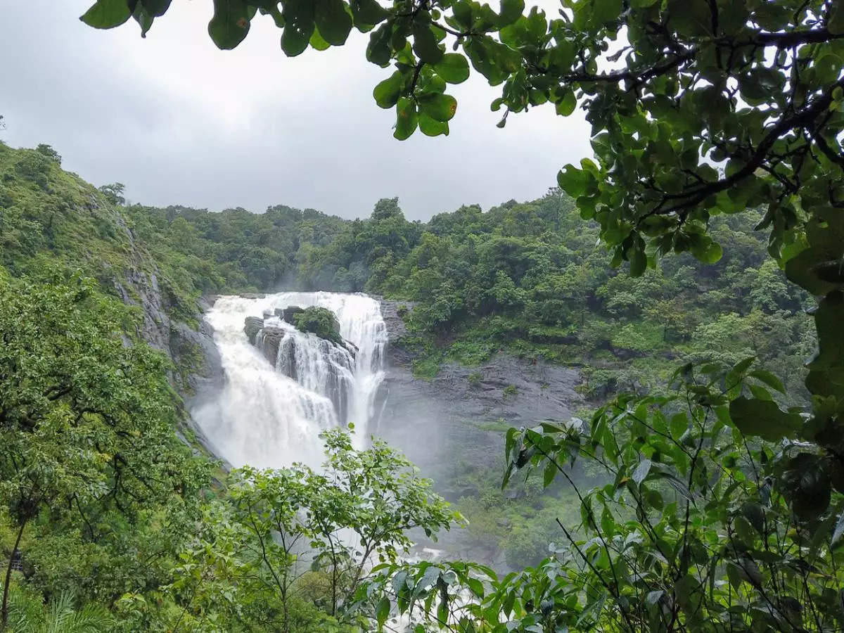 Kodagu: A monsoon paradise in Karnataka
