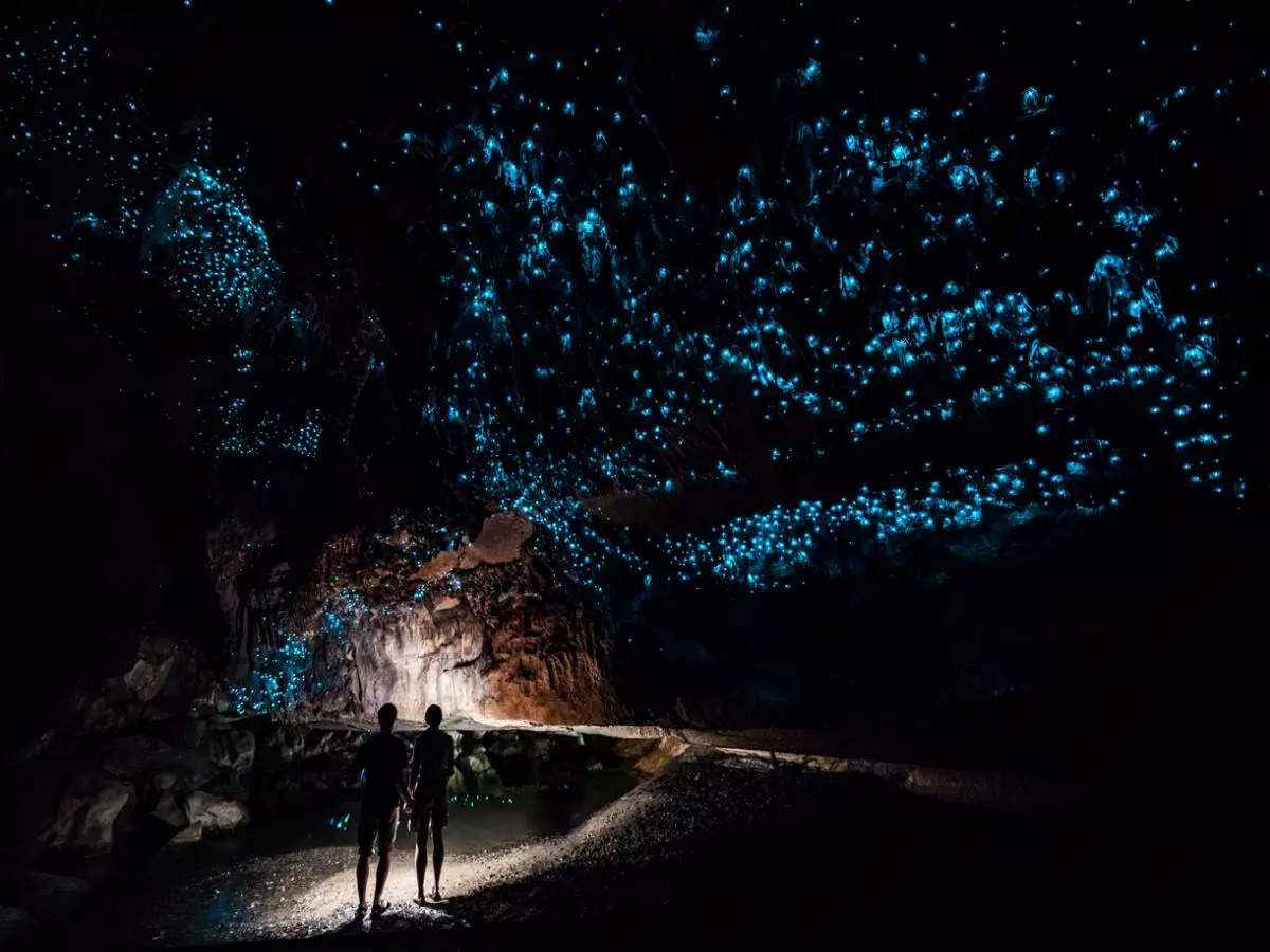 New Zealand’s Glowworm Caves: A natural wonder that defies belief