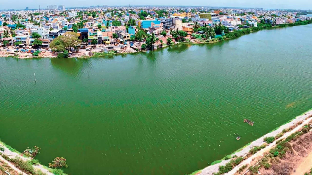 New life for 12 lakes in Chennai: Will facilitate groundwater recharge, help prevent floods during monsoon