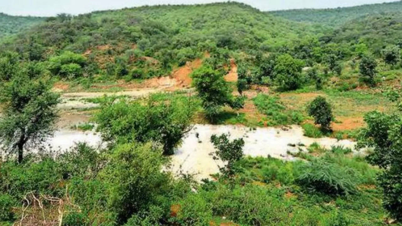 Protect Aravalis, raise forest cover: Citizens’ group makes ‘green manifesto’ before polls