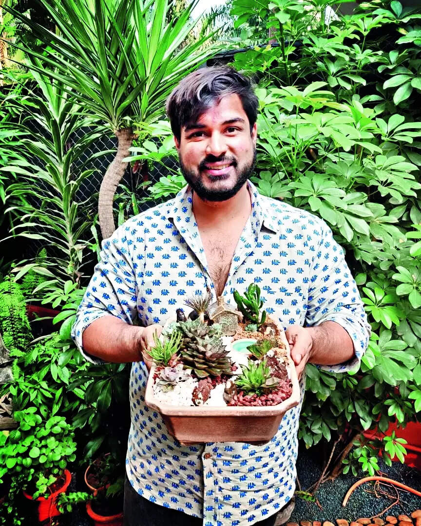 Onset of rain heralds terrarium, kokedama workshops