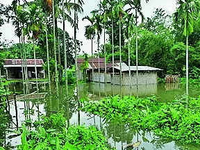 7 more die in Assam floods, toll rises to 79
