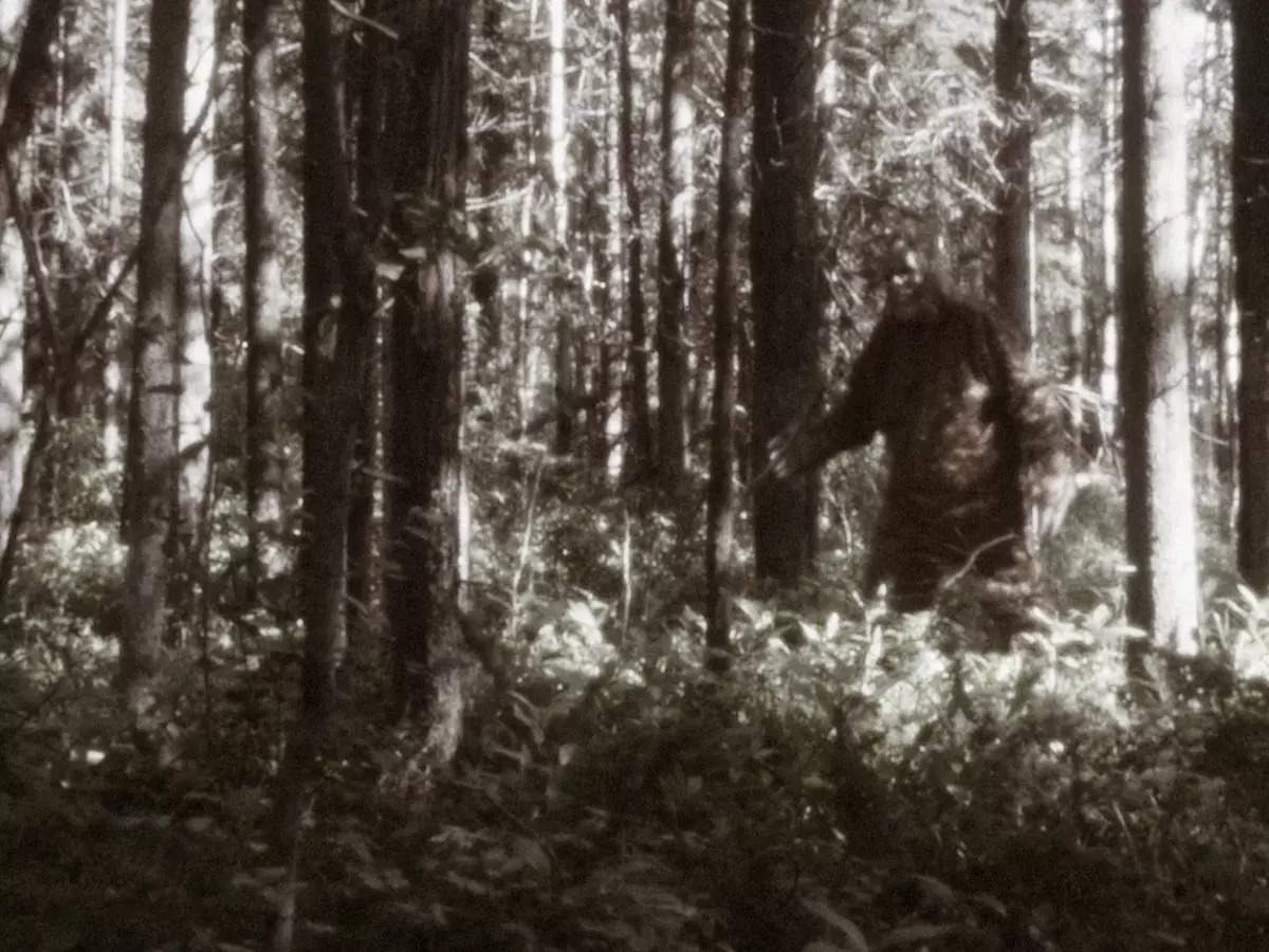 Bigfoot or Himalayan Yeti? Human-like wild creature spotted in Louisiana forest