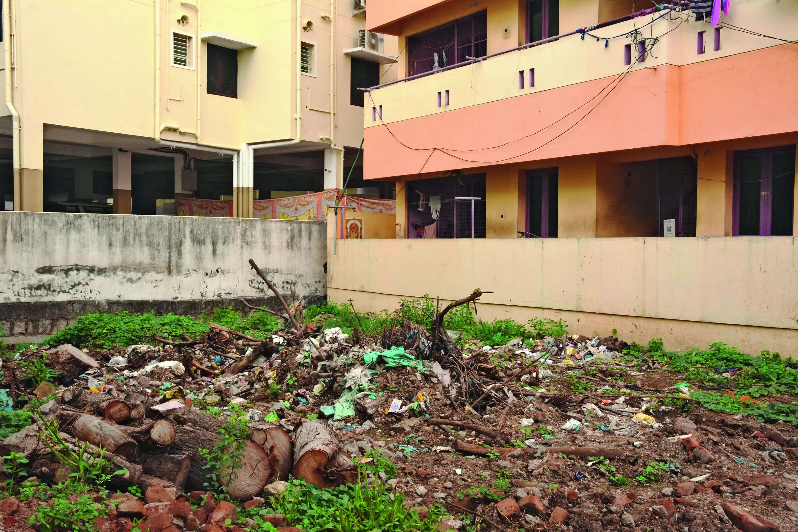 Dengue fear: HDMC will clean empty plots and charge owners