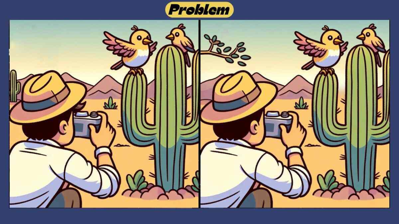 Optical Illusion: Can you spot 4 differences in this bird watching photo?