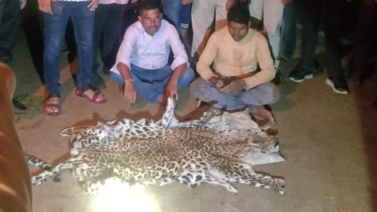Three arrested with leopard skin in joint operation by USTR and Odisha forest department