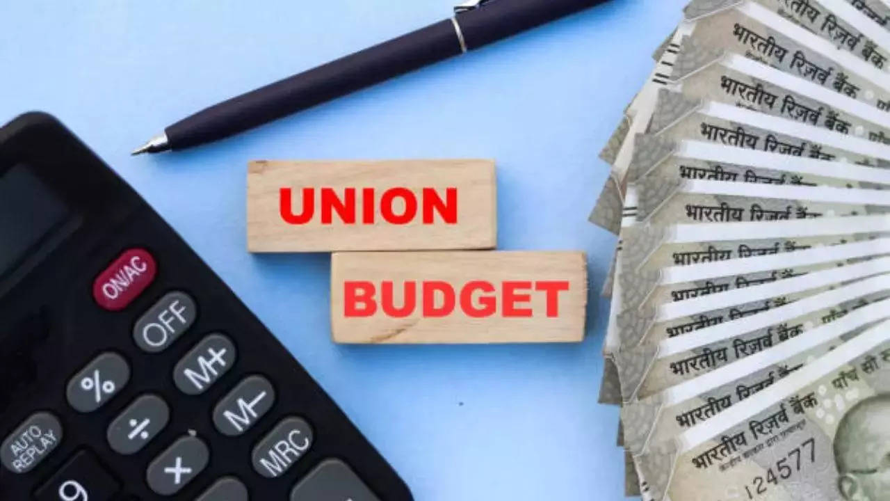 Budget 2024: Repercussions of delayed payments to MSMEs – amendments are much needed