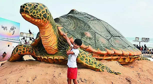 Ridley art on Puri beach a big draw