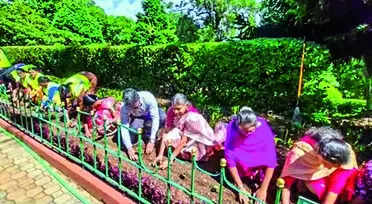 Sim’s Park commences planting for tourist season