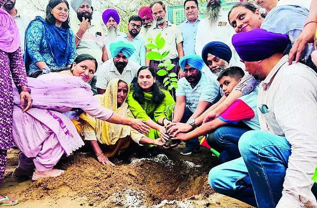 Wake Up Ludhiana: Dist admn plants 1.87 lakh saplings under massive drive
