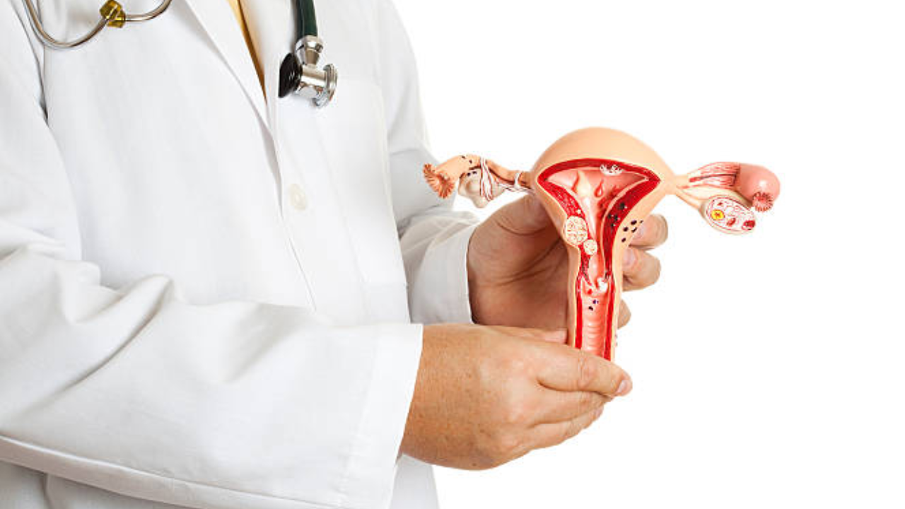 Difference between cysts, fibroids and fibroadenoma