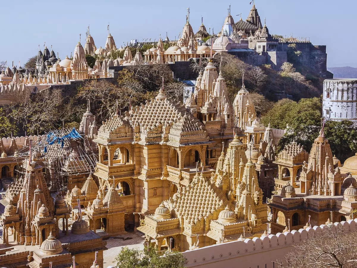 Palitana: First city in the world to ban non-vegetarian food