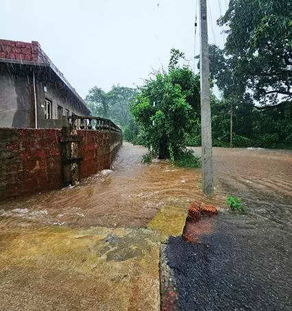 Low-lying areas at Bicholim inundated after heavy rain