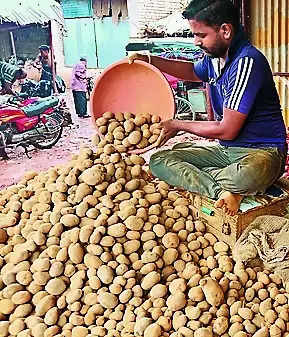 Potato price goes up by ₹5/kg, vendors blame rain, short supply