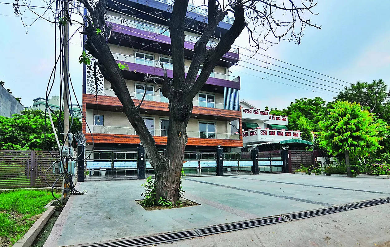 Corpns take cue from schoolkidsto free tree bases from concrete