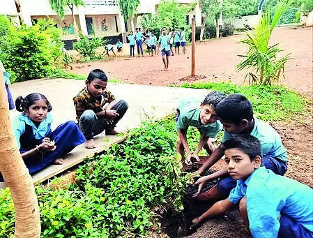 Green campus: Govt school bags Parisara Mitra award