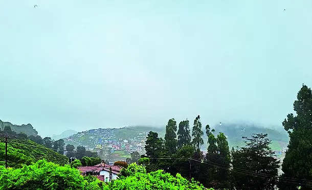 Heavy rain marks intensification of southwest monsoon in Nilgiris