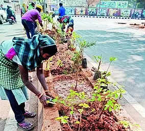 BMC to embark on green drive in city