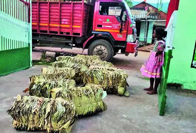 Tribal women in Kandhamal get machines to make sal leaf plates