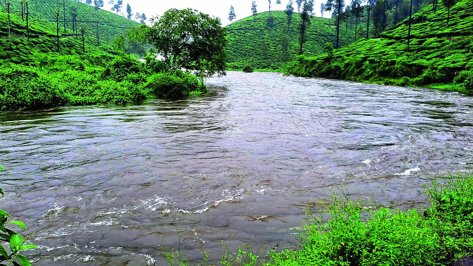 Downpour brings more water to Noyyal river, Siruvani and Pillur dams
