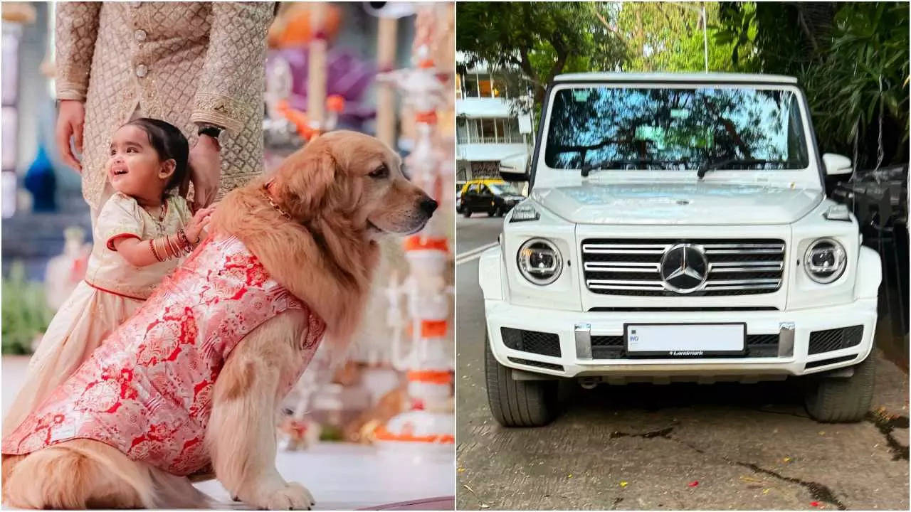 Forget the Ambanis: Even their dog Happy travels in a luxurious car worth Rs 4 crore | Hindi Movie News Filmymeet