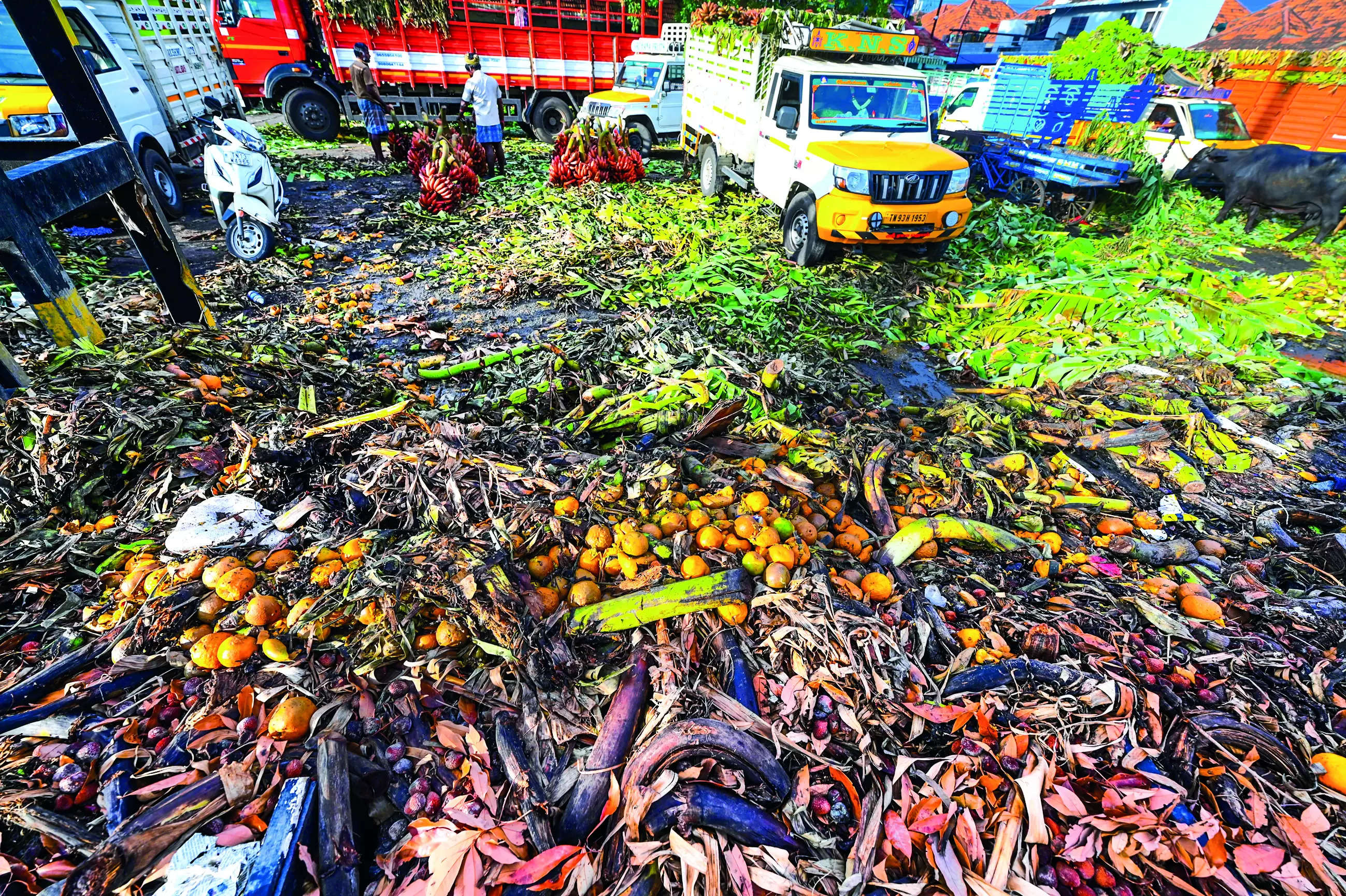 CMDA seeks ideas to handle banana waste at Koyambedu