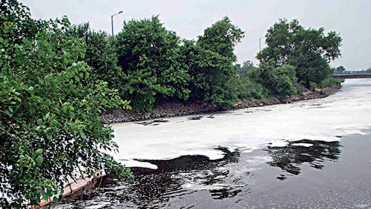 'No waste dumping in Hindon river'