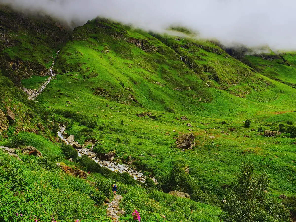 India&rsquo;s most stunning national parks that can be explored on foot