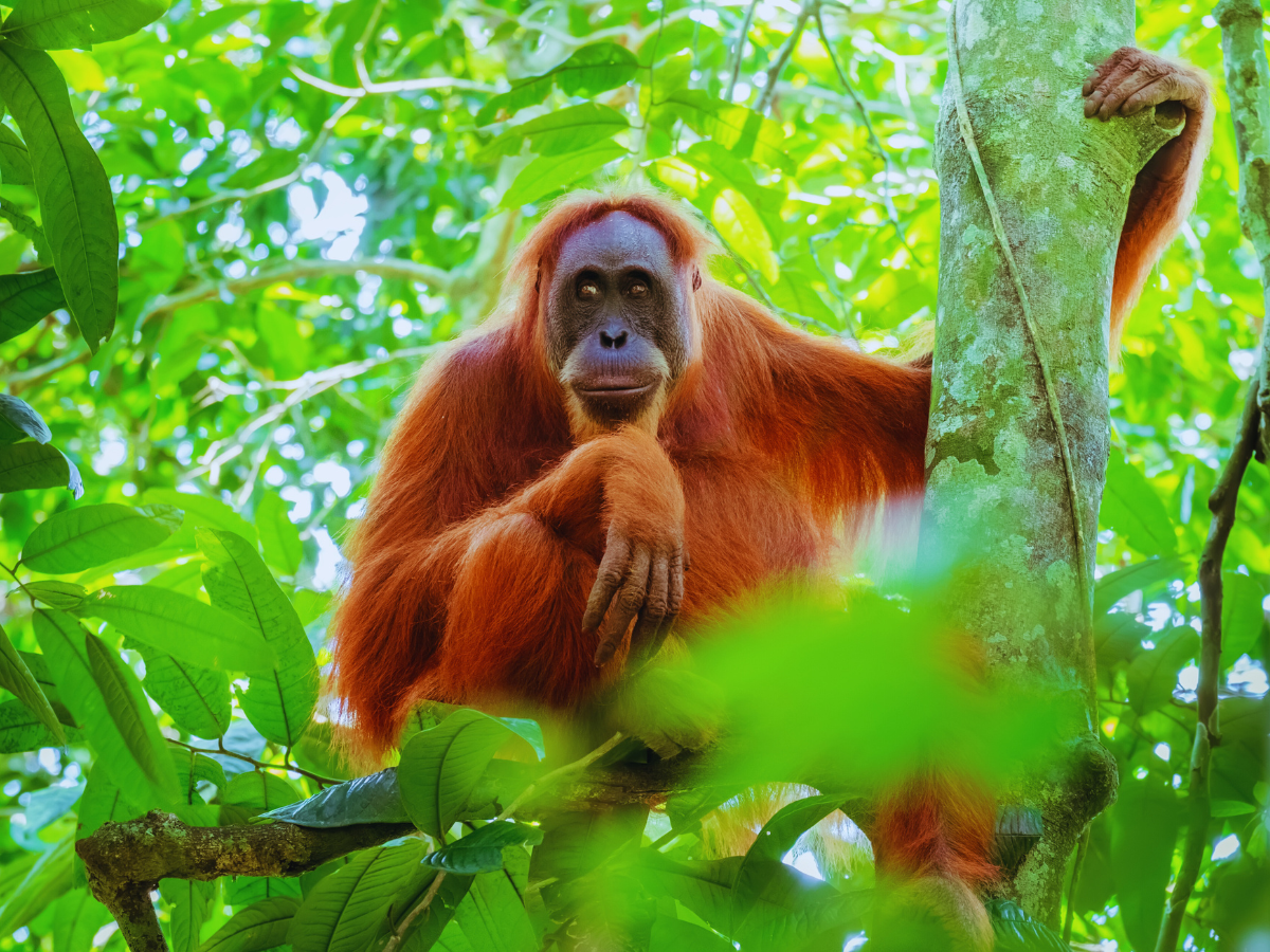 Wildest places to visit in Asia