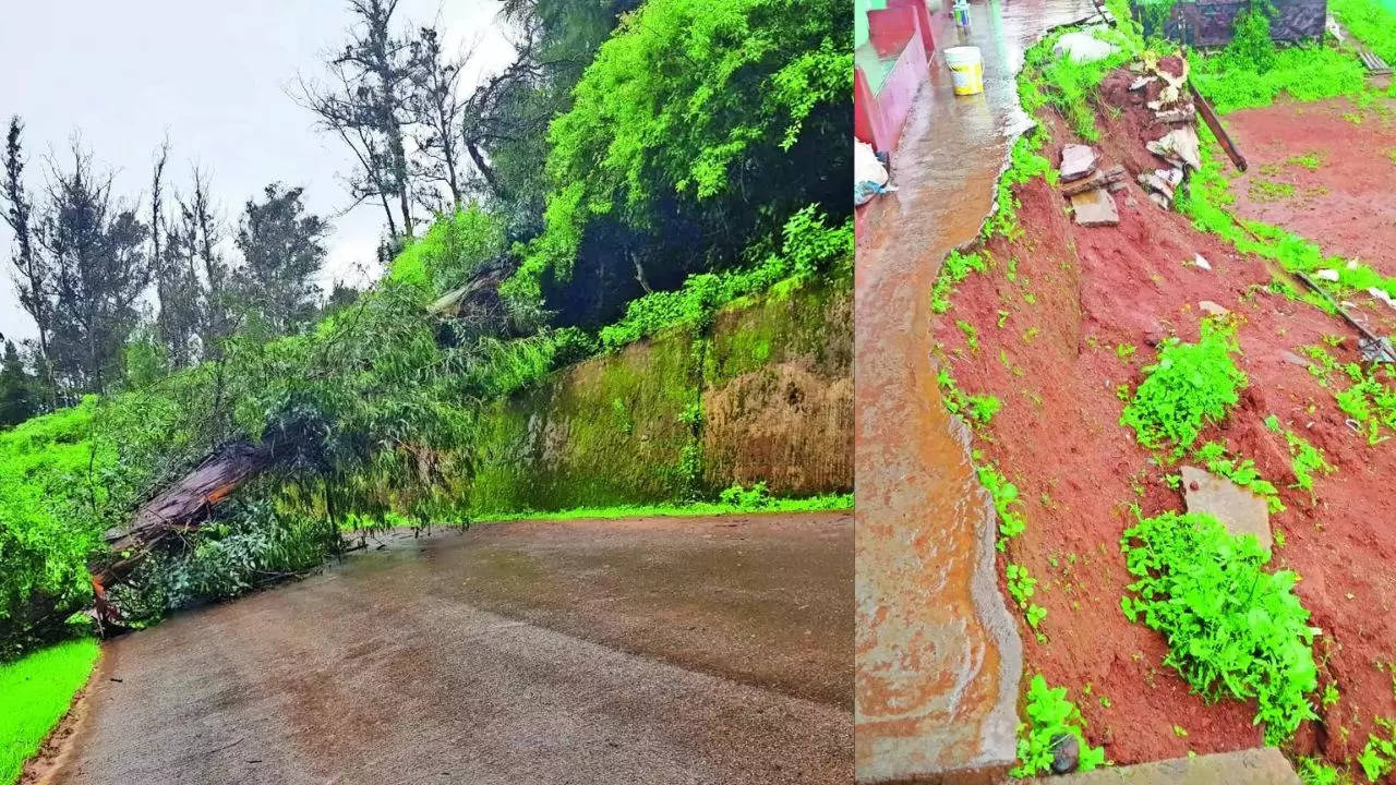 Continuous rain triggers landslides, treefalls in Nilgiris