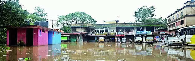 Swollen rivers in DK, Udupi cause distress for people