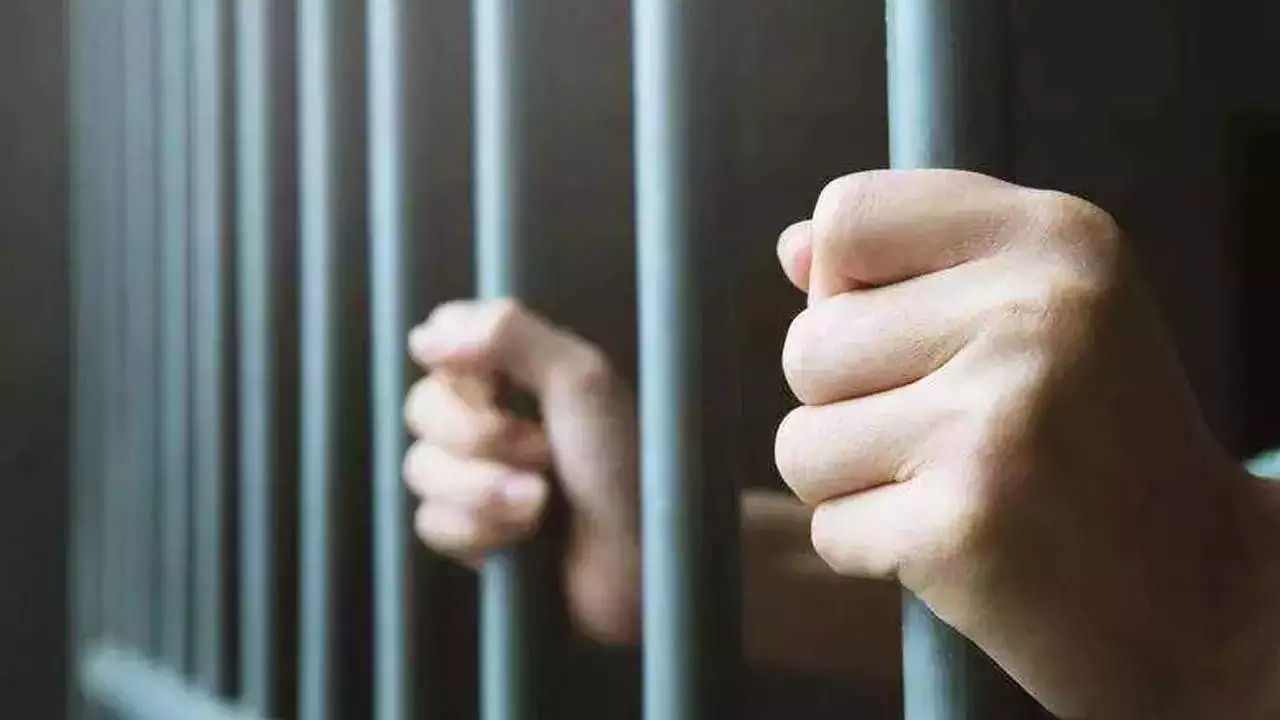 Man gets 10 yrs in prison for carrying 100 kg poppy husk