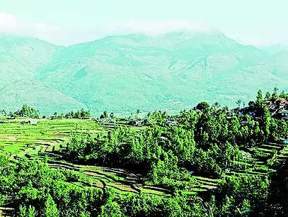 Idukki land grab: 9 more added to SIT