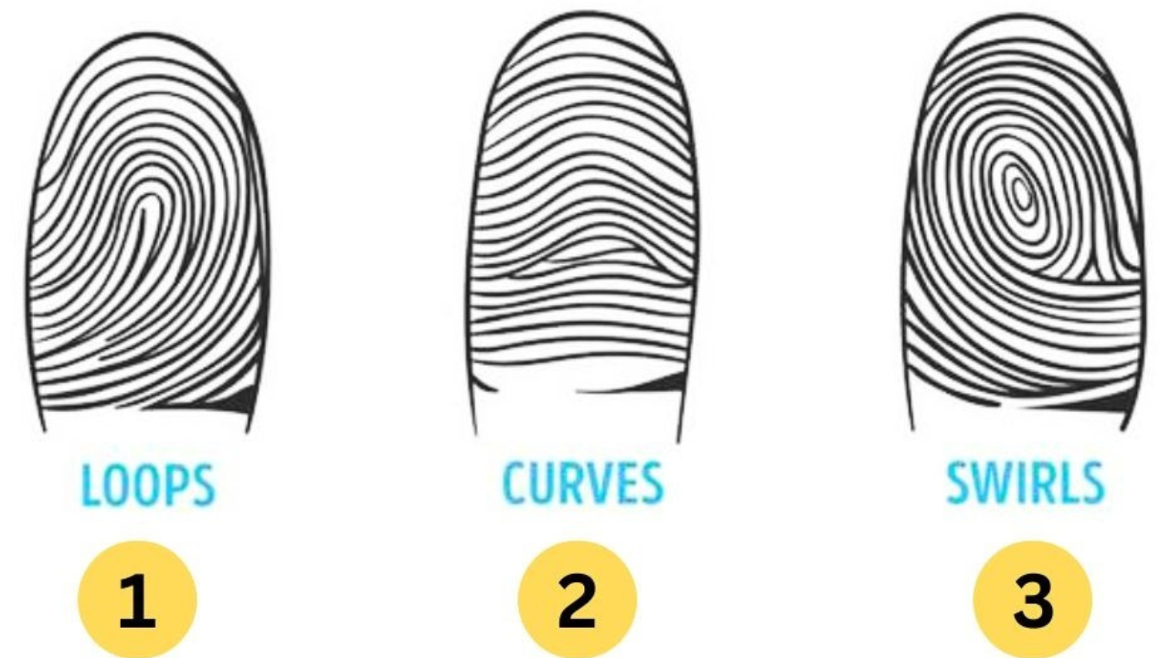 Personality Test: Here’s what your fingerprint reveals about you