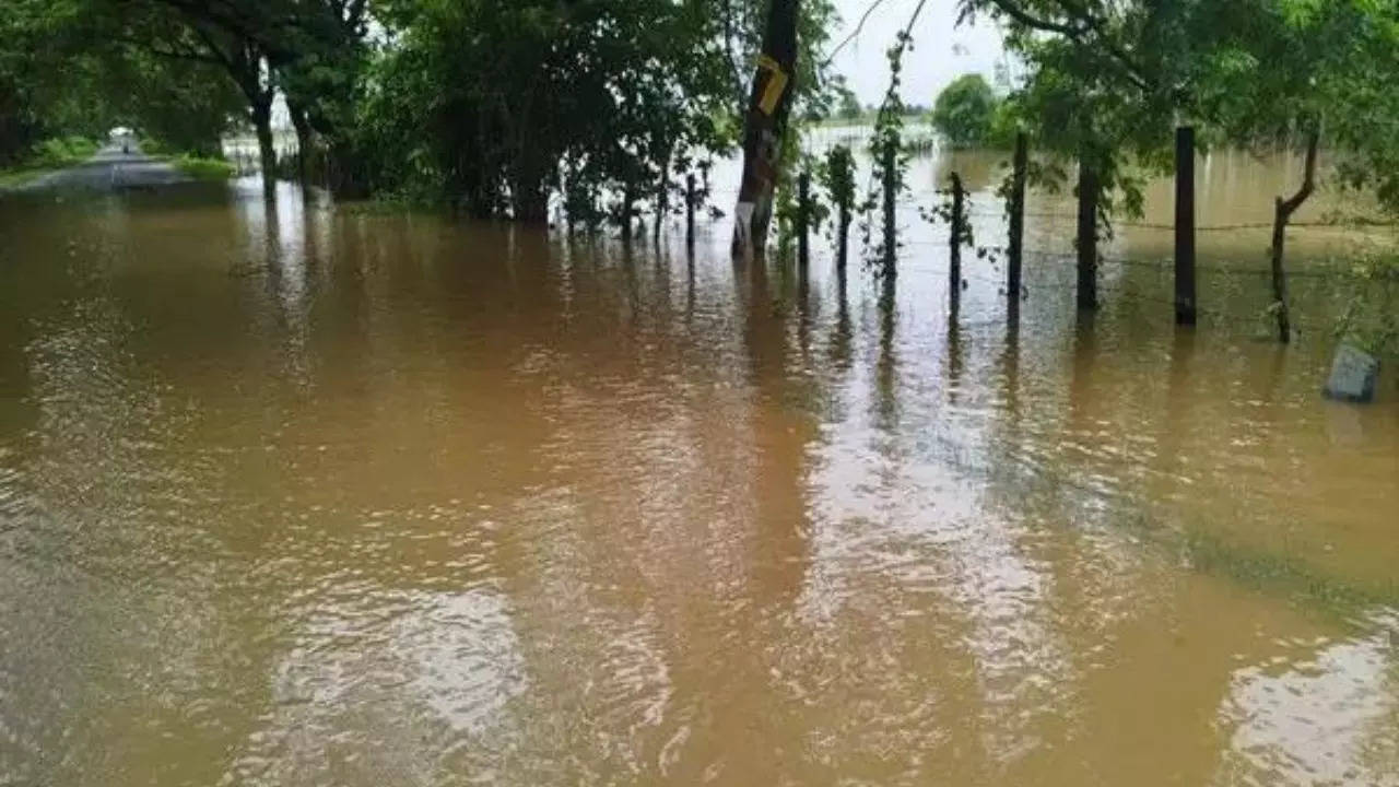 Roads closed as Godavari overflows in Bhadradri Kothagudem in Telangana