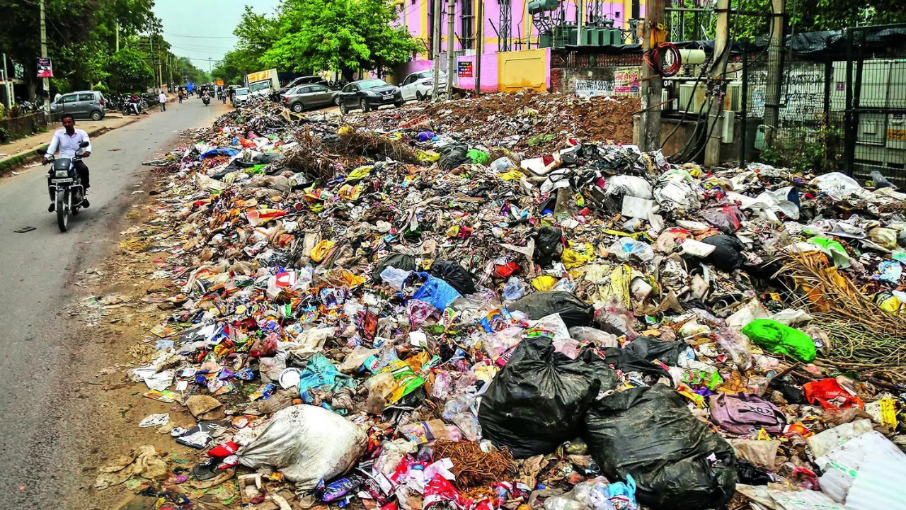 Build 20 decentralised units to process waste, panel set up by govt tells MCG in Haryana